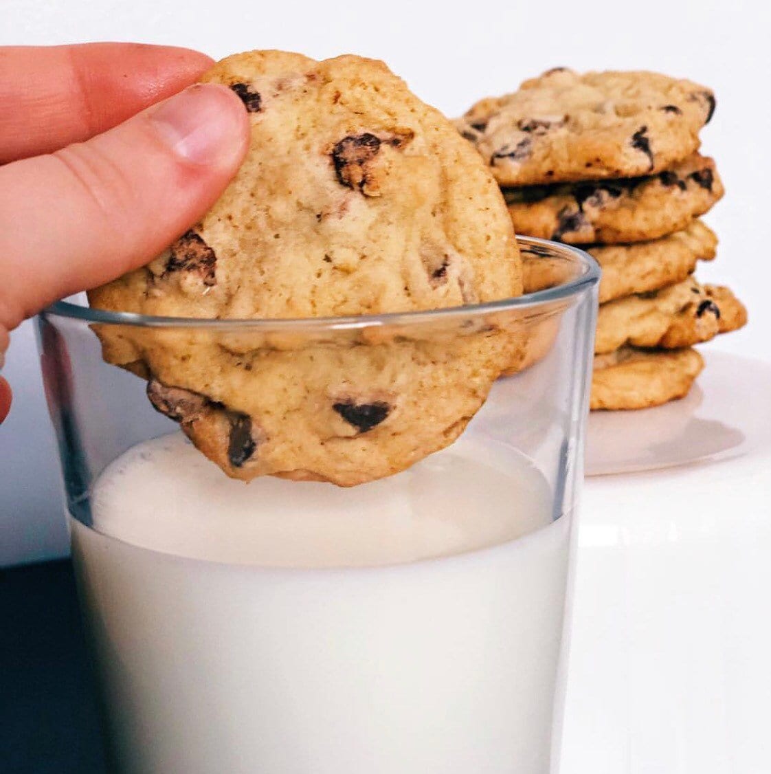 Organic Oatmeal Chocolate Chip Cookies (8-Count Trial Box) – All-Natural & Freshly Baked Goodness